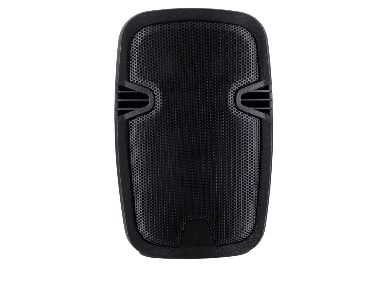  Пассивная колонка  PP-2108