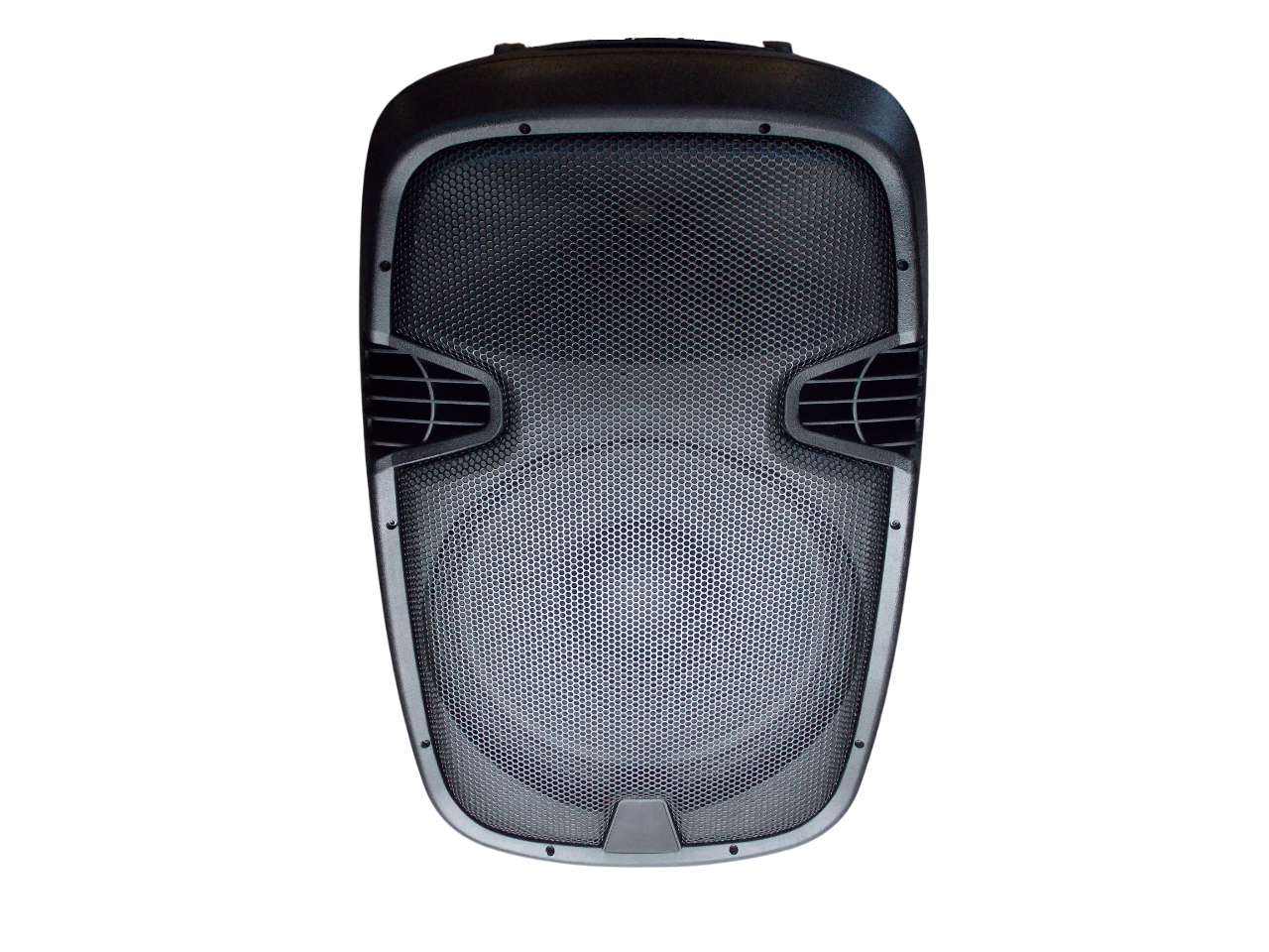  Пассивная колонка  PP-2115