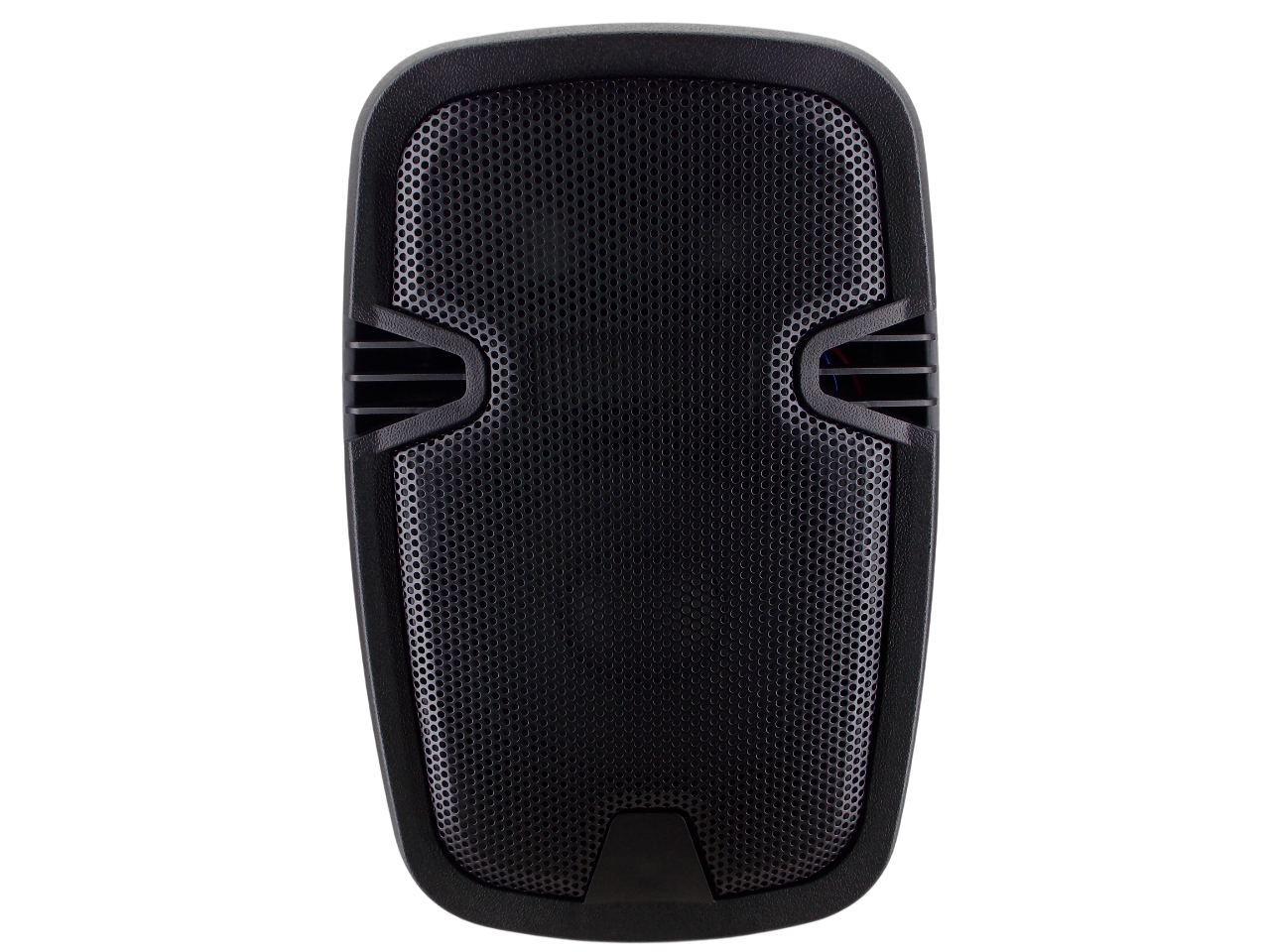  Активная колонка PP - 2108AU